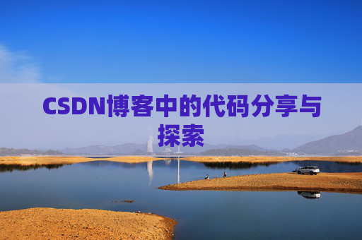 CSDN博客中的代码分享与探索